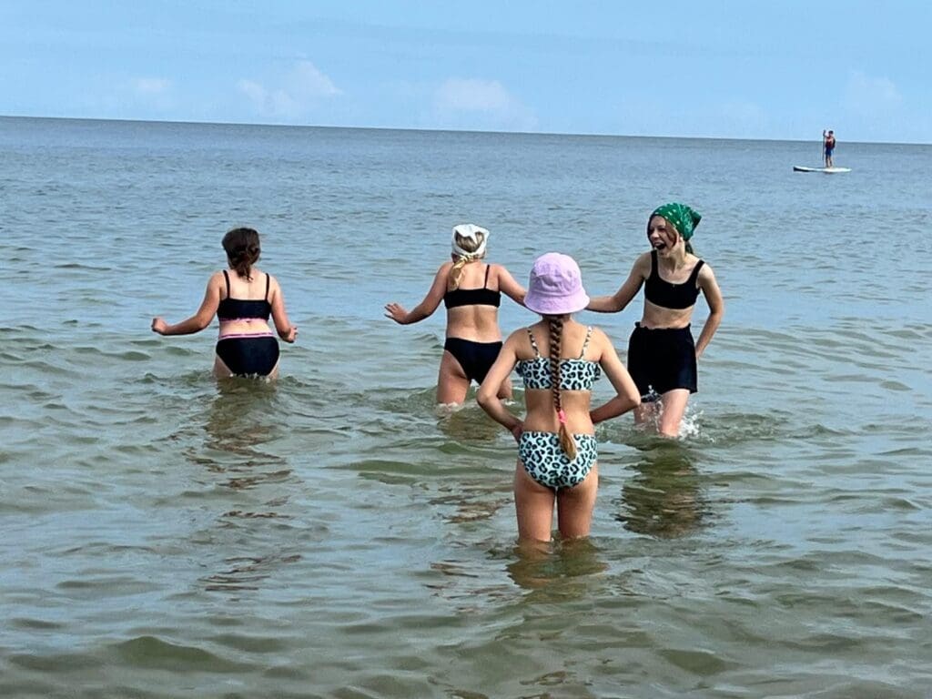 Jastrzębia Góra IV V 105