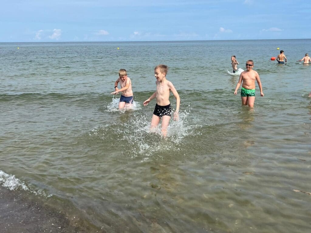 Jastrzębia Góra IV V 134