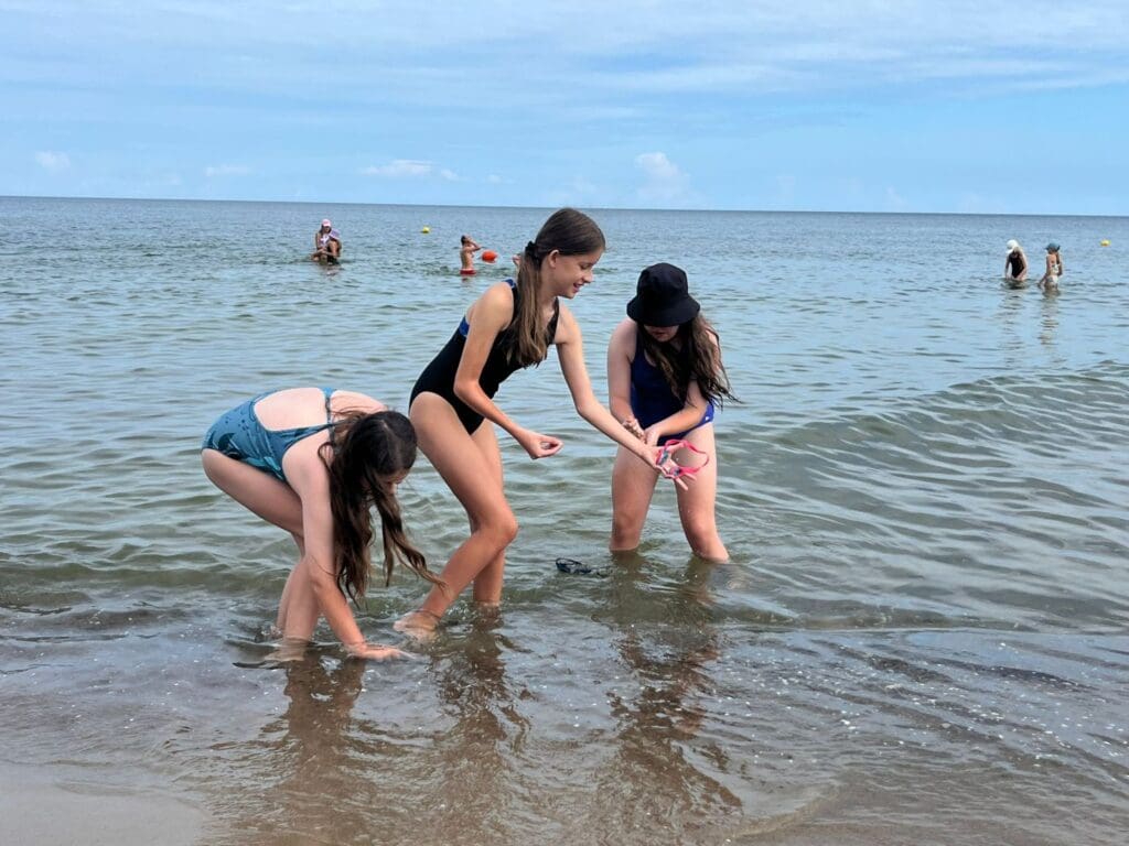 Jastrzębia Góra IV V 14