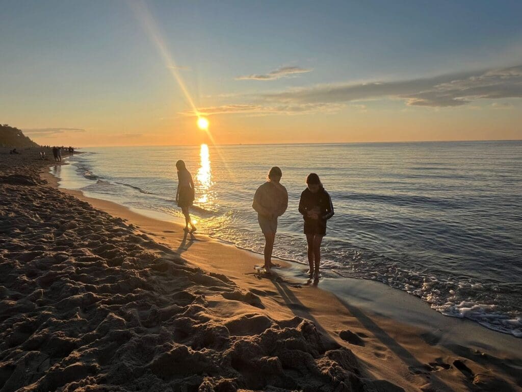 Jastrzębia Góra IV V 156