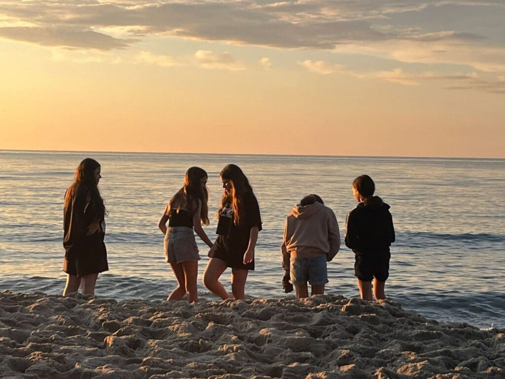 Jastrzębia Góra IV V 161