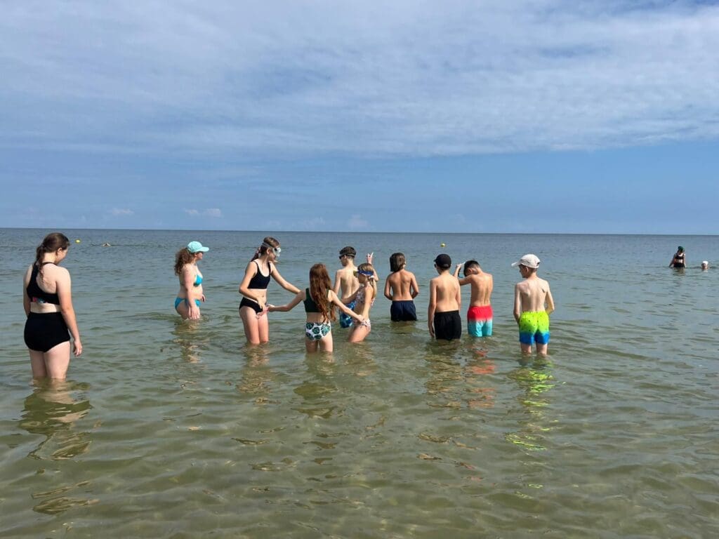 Jastrzębia Góra IV V 18