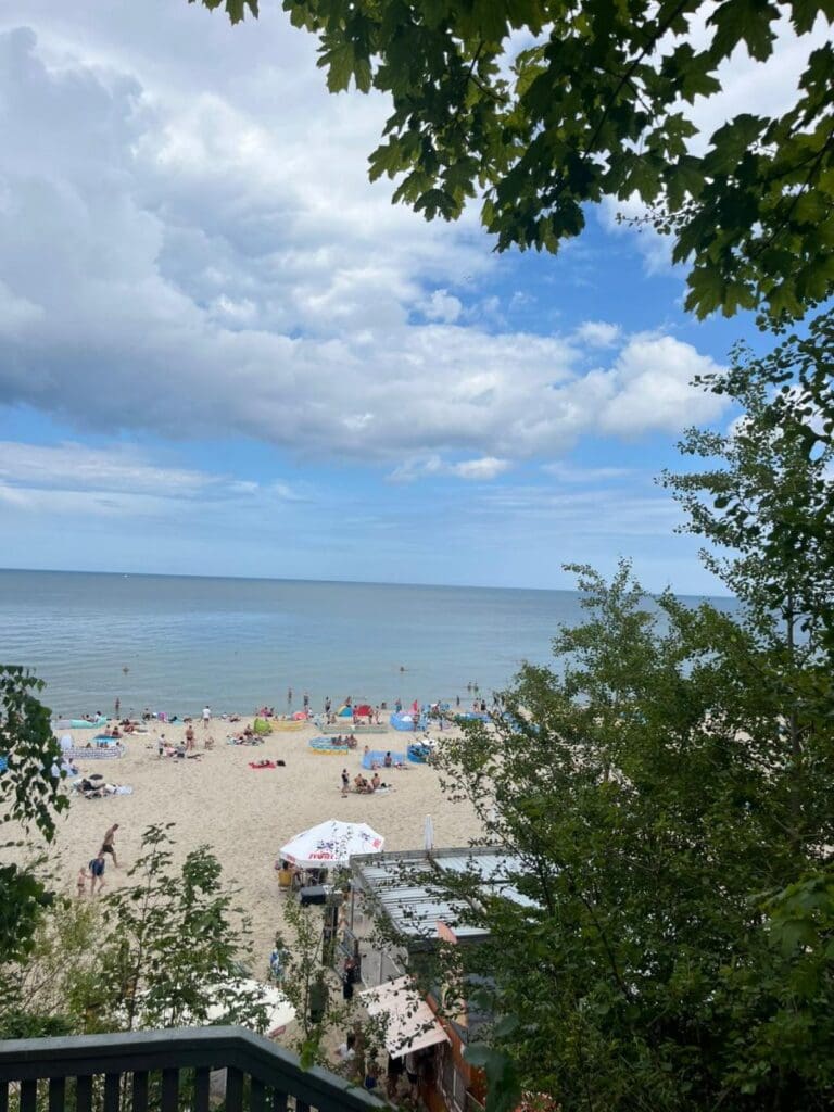 Jastrzębia Góra IV V 195