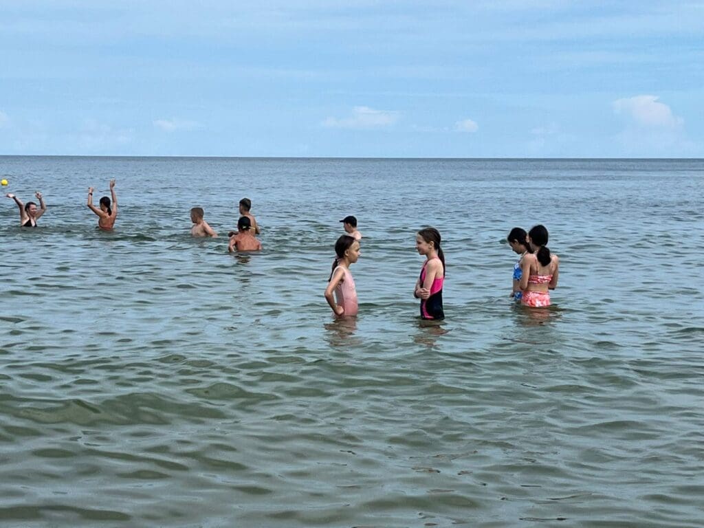 Jastrzębia Góra IV V 204