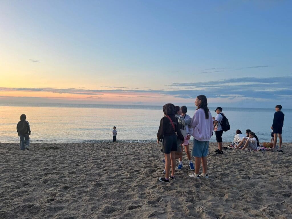 Jastrzębia Góra IV V 207