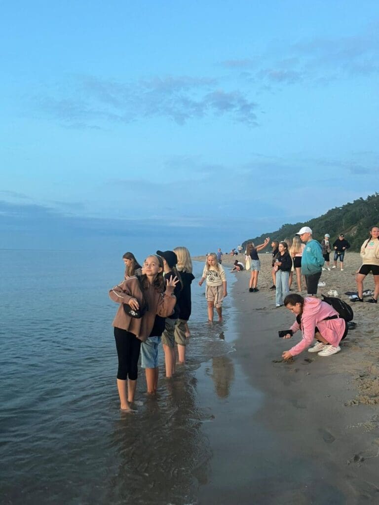 Jastrzębia Góra IV V 38