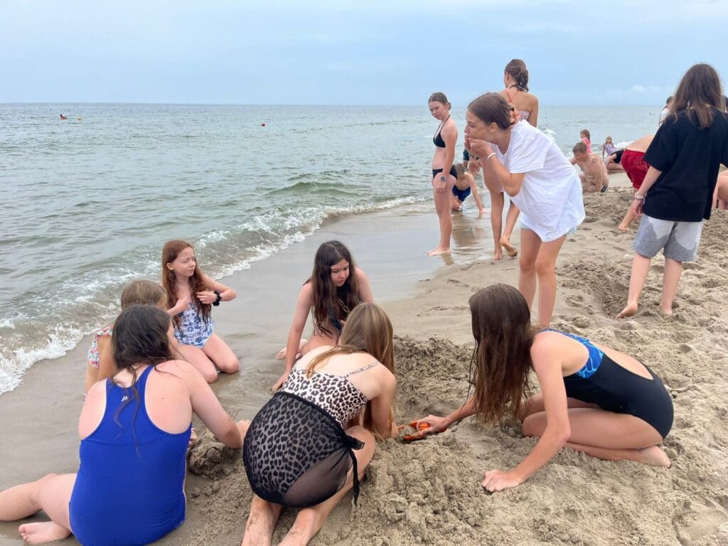 Jastrzębia Góra IV V 42