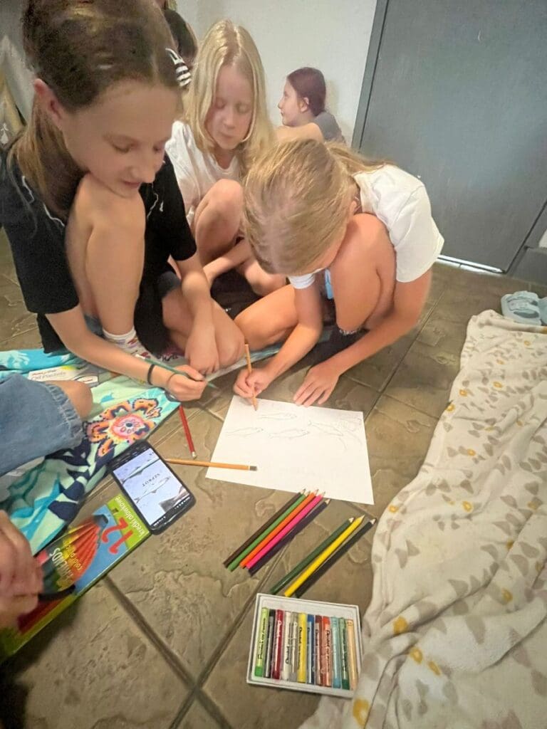 Jastrzębia Góra IV V 85