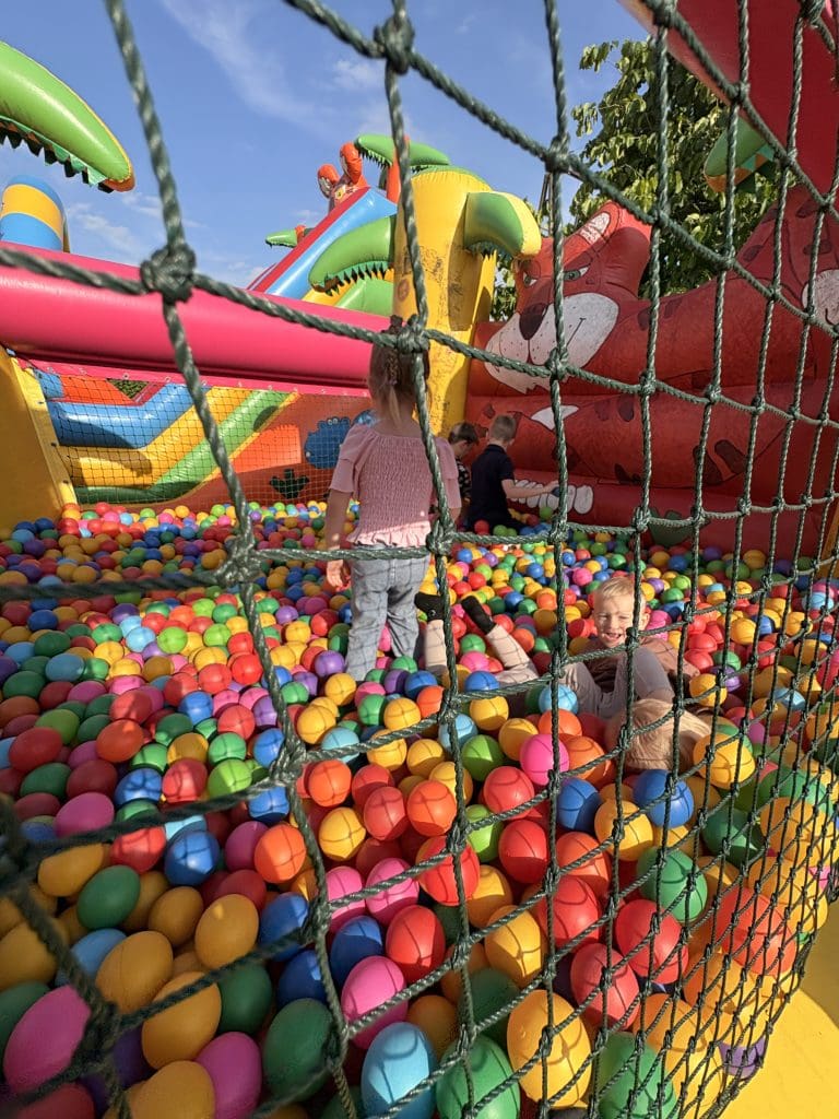 IMG 4363